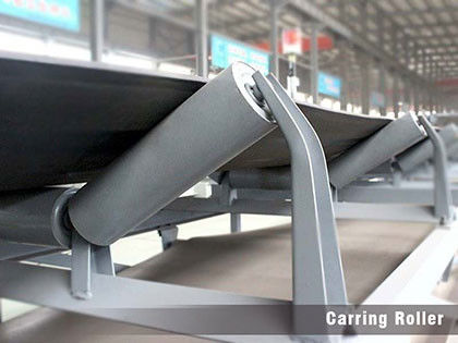 Low Rotate Resistance Labyrinth Seal Conveyor Component